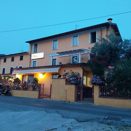 Nonna Lory Bed and Breakfast Pietrasanta Exteriör bild