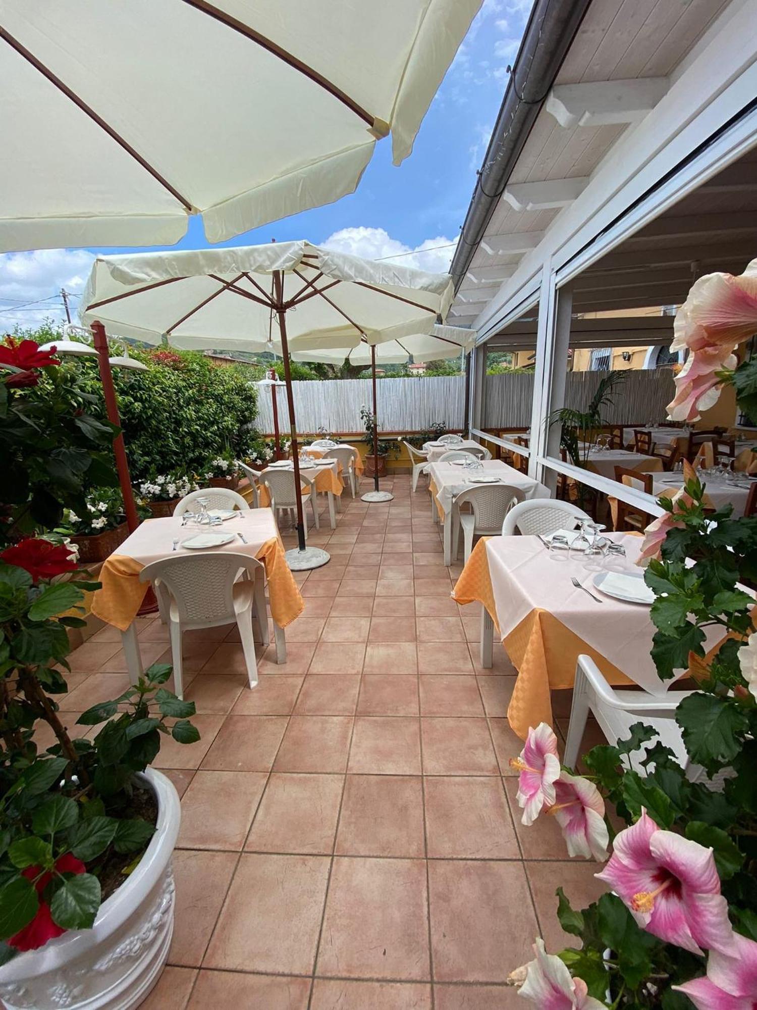 Nonna Lory Bed and Breakfast Pietrasanta Exteriör bild